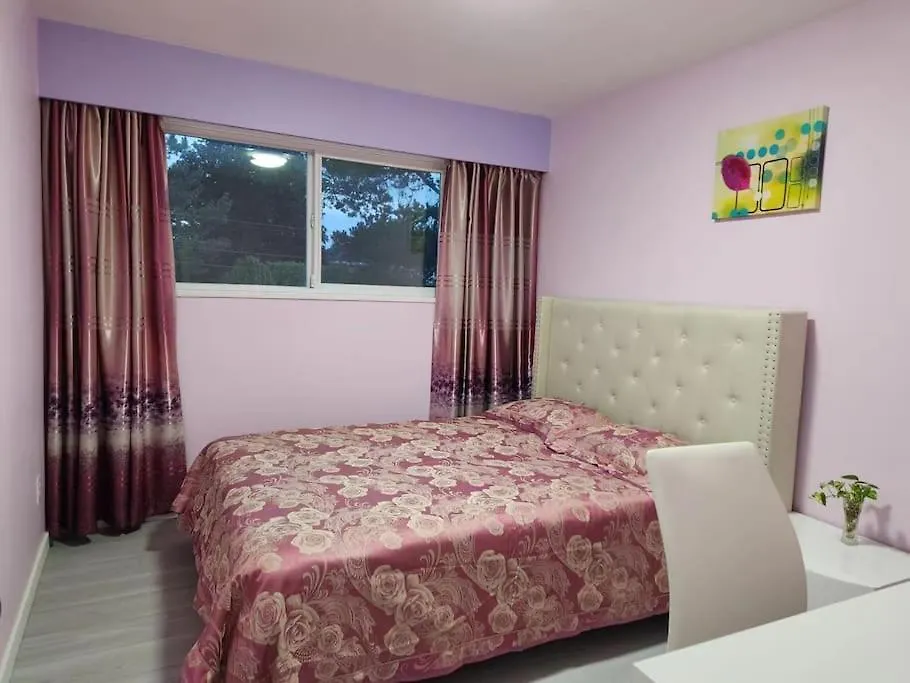Private Single Room In A House Richmond Homestay