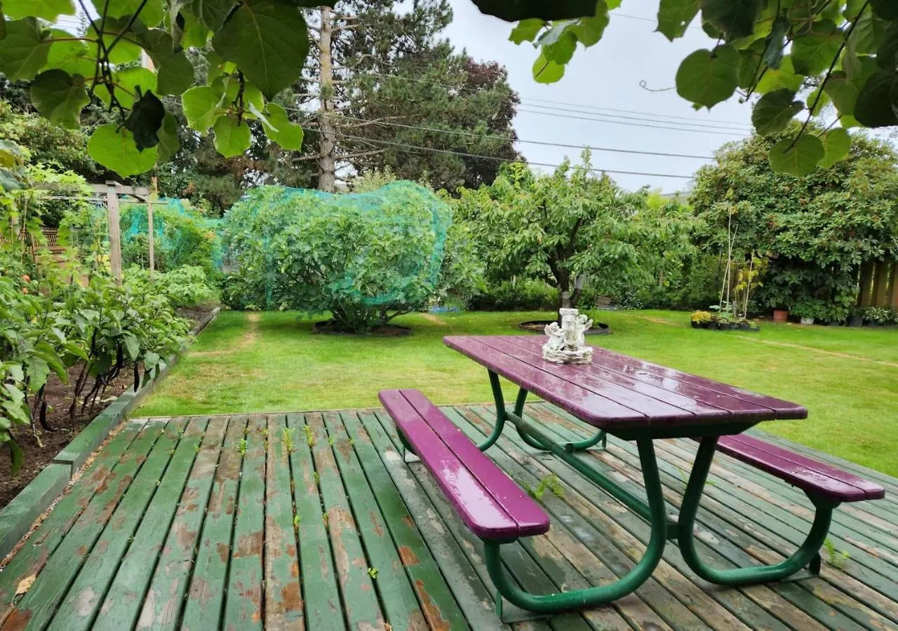 Private Single Room In A House Richmond 0*,  Canada